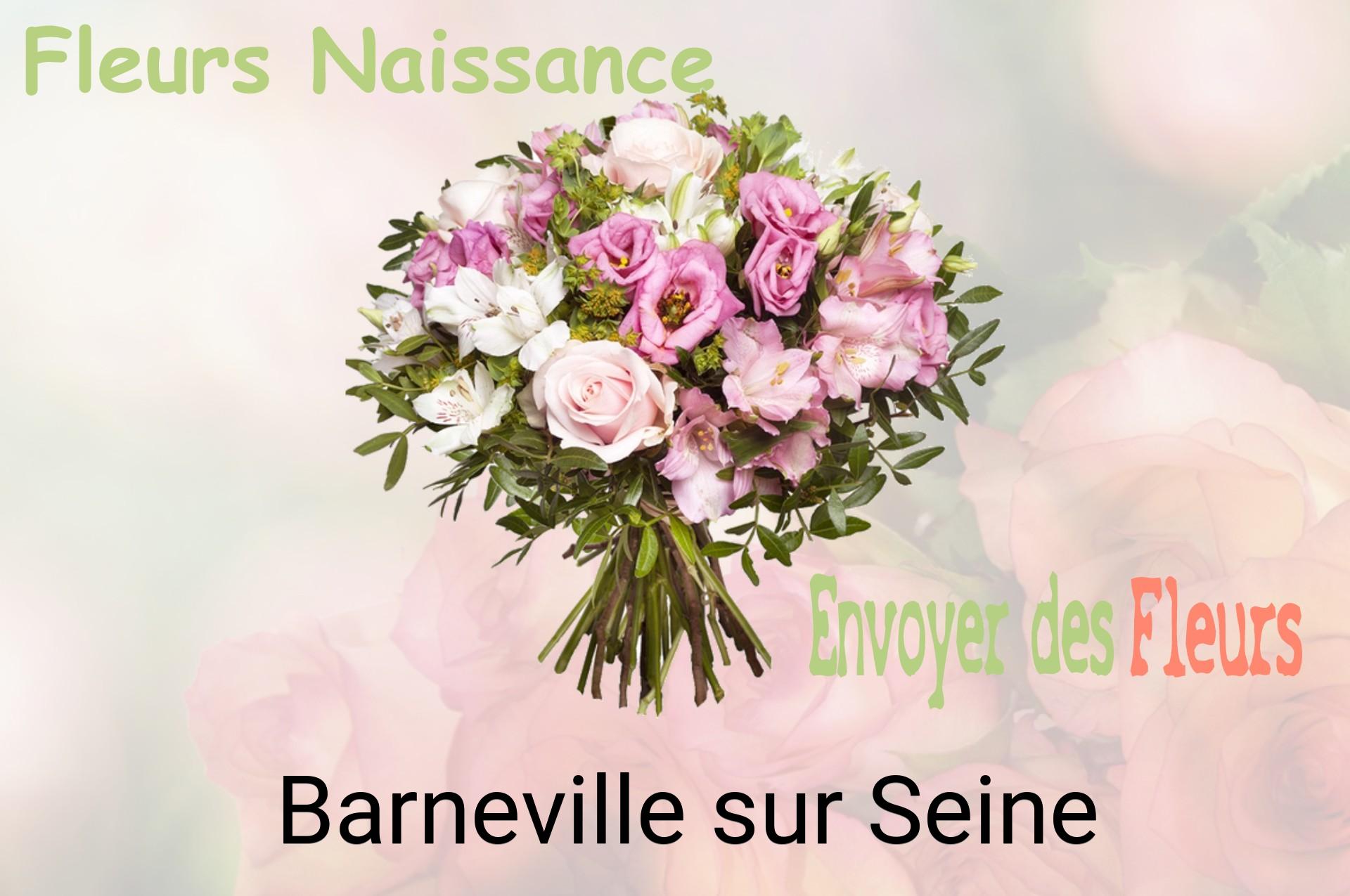Bouquet de fleurs de naissance livré à Barneville-sur-Seine